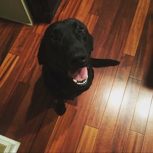 Meet your Posher, Brandon